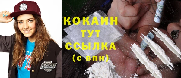 соль ск Заводоуковск