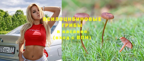 соль ск Заводоуковск