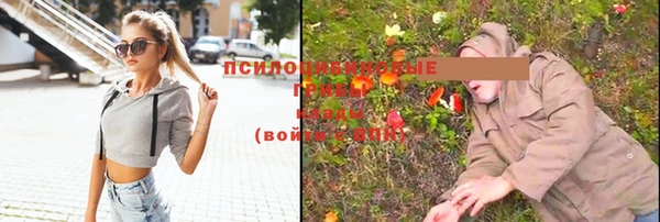 ALPHA-PVP Заволжье