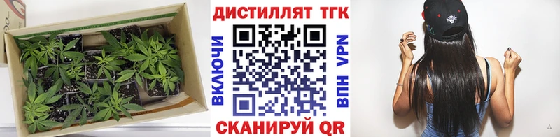 Купить закладки  Закаменск  ТГК гашишное масло 