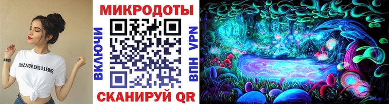 Псилоцибиновые грибы Magic Shrooms  Купить  Закаменск 